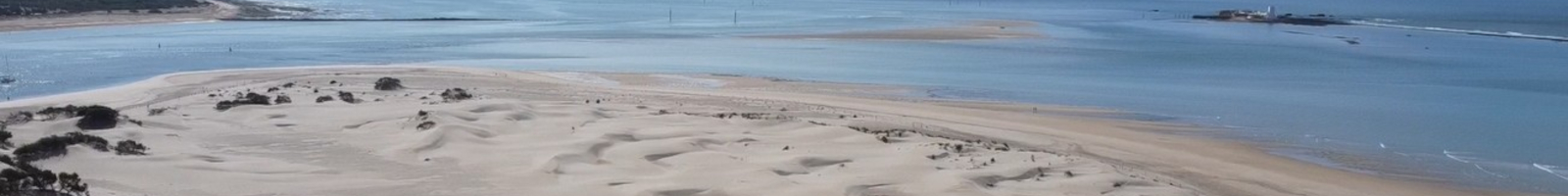 Fondo Cabecera General